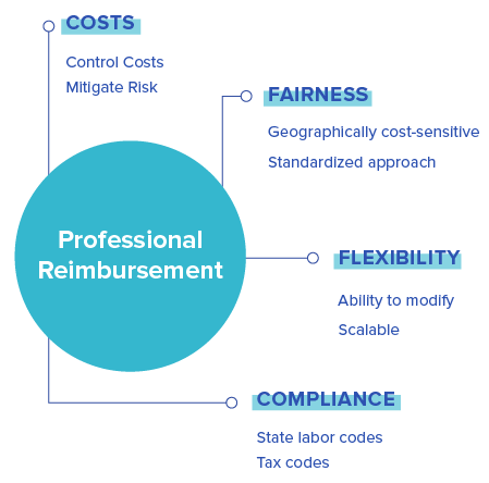 Diagram of the anatomy of a professional reimbursement