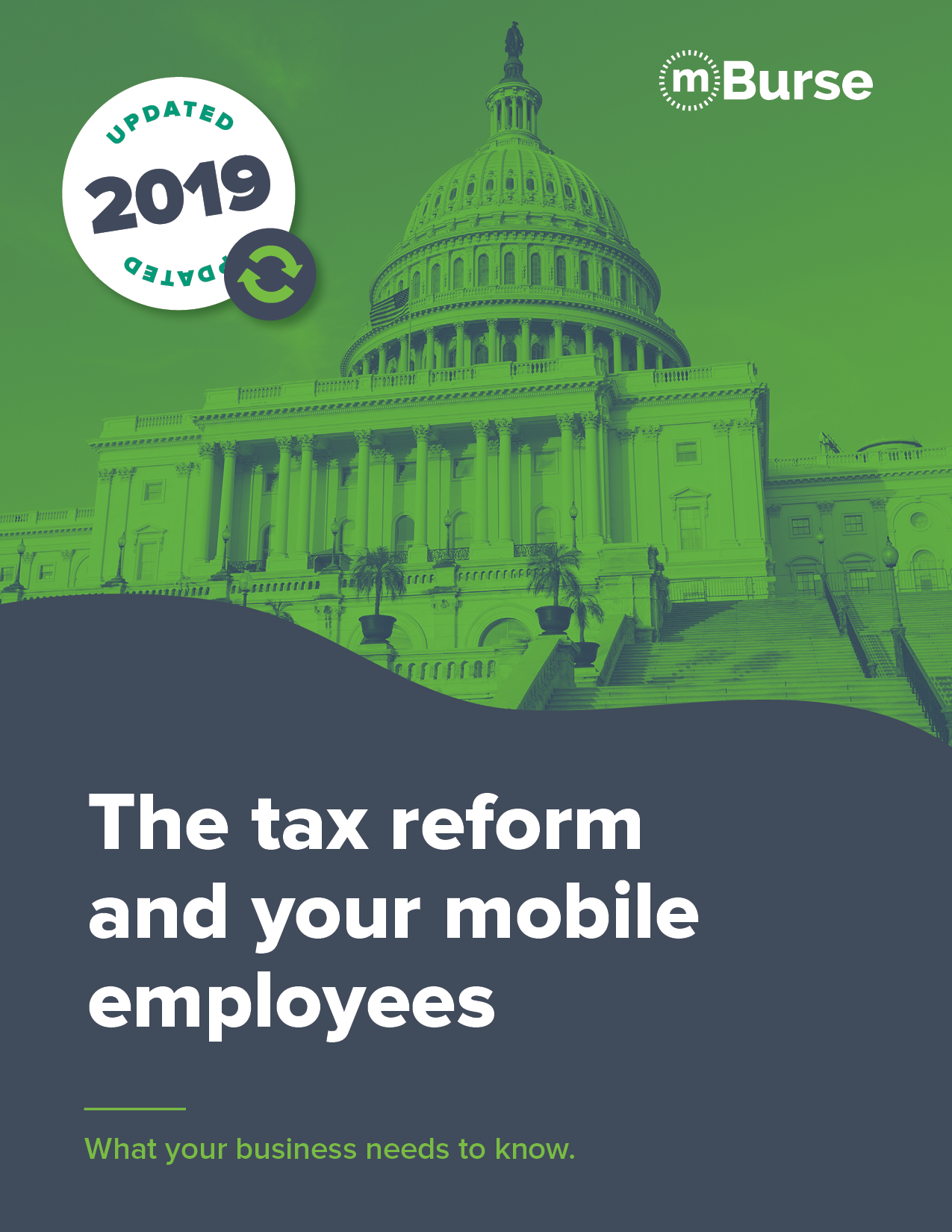 mBurse 2019 Updated Tax Reform eBook